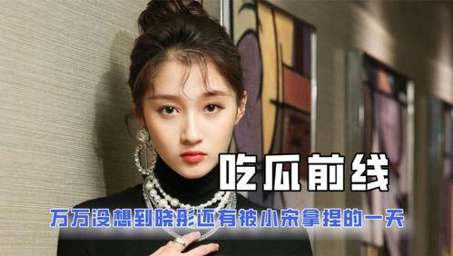 关于娱乐圈的吃瓜小说,幕后风云，瓜田乱舞